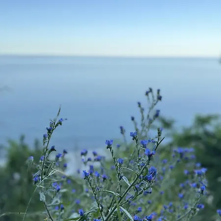 Διαμέρισμα Przystan Ikara *