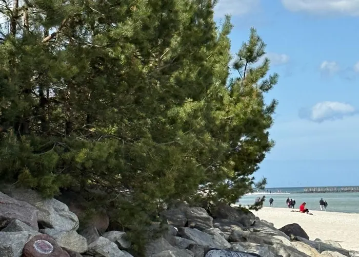 Przystań Ikara Apartament Gdynia