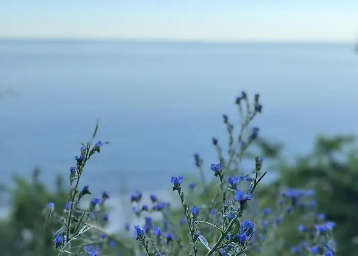 Apartament Przystań Ikara *